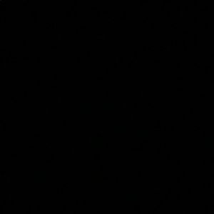 Meet your Posher, Terrell